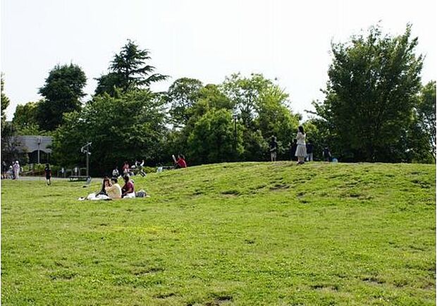中野区立平和の森公園(約1,200m)