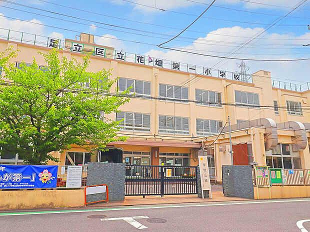 足立区立花畑第一小学校（約480m）