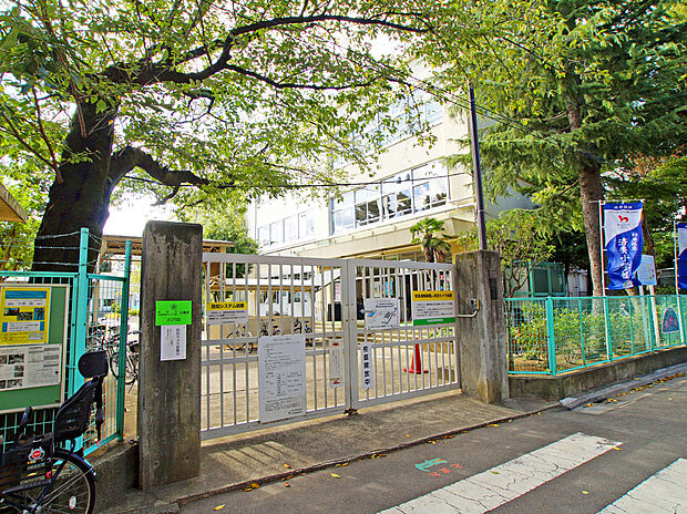 杉並区立済美小学校（約550m）