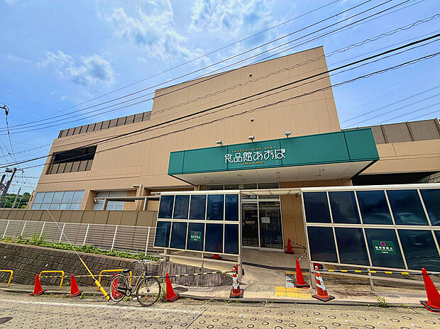 食品館あおば 荏田北店(約600m)