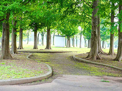 篠崎公園 280ｍ(徒歩4分)