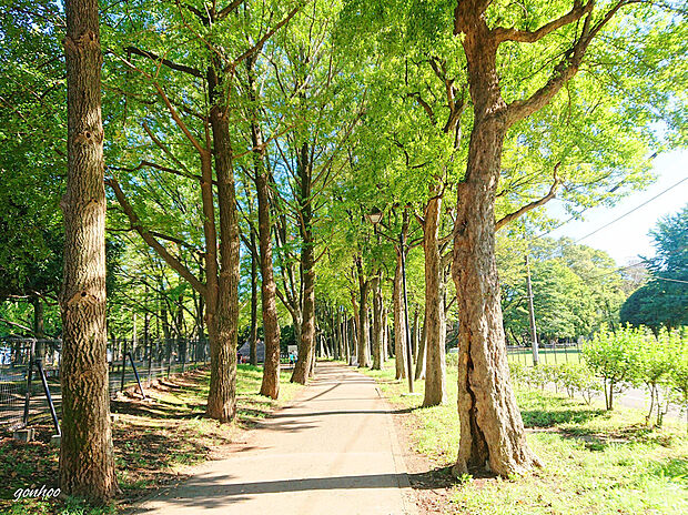 城北中央公園(徒歩550分)
