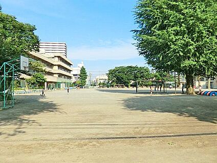 西東京市立田無小学校 500ｍ(徒歩7分)
