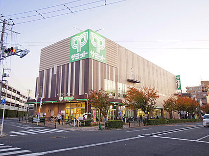 サミット東長崎店 650ｍ(徒歩9分)