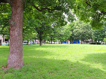 足立区立花又公園 400ｍ(徒歩5分)