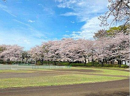 小平市立中央公園 1500ｍ(徒歩19分)