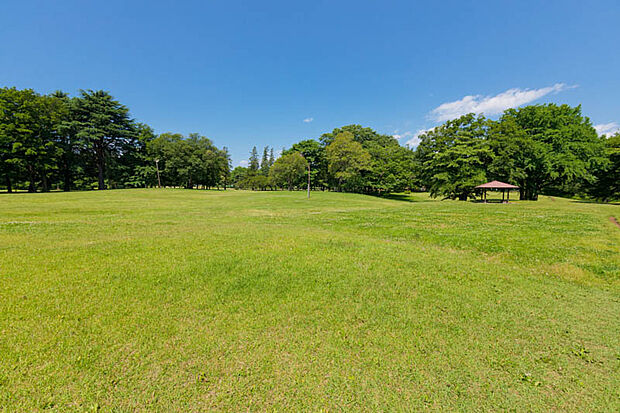 野川公園（約1,000m）
