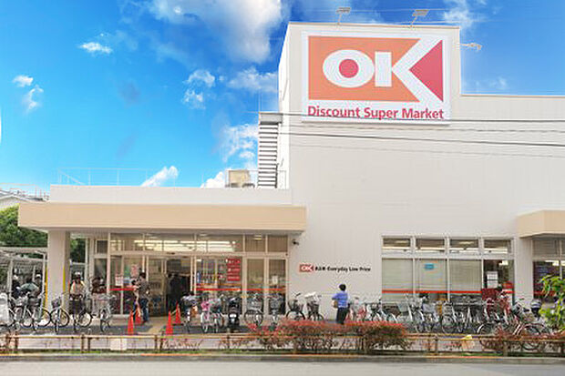 オーケー小金井店(約500m)