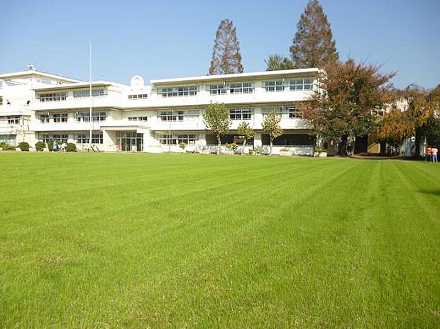 西東京市立柳沢小学校(約450m)