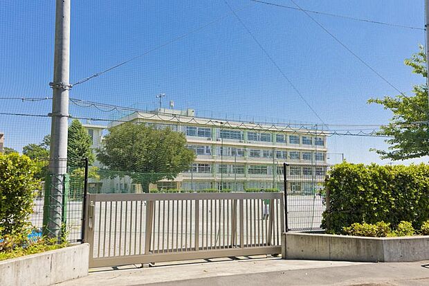 小平市立小平第三小学校（約600m）