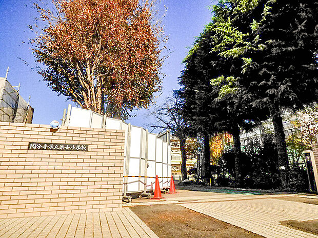 国分寺市立第七小学校（約790m）