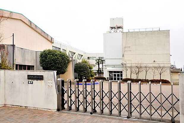 立川市立幸小学校（約100m）
