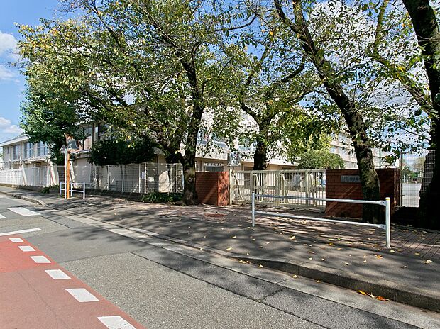 国立市立第七小学校(約1,140m)