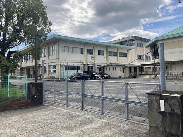 八代市立松高小学校(約500m)