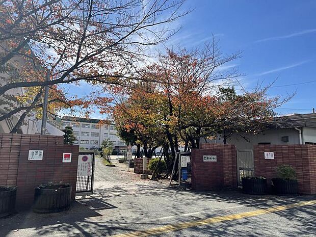 野多目小学校(約350m)