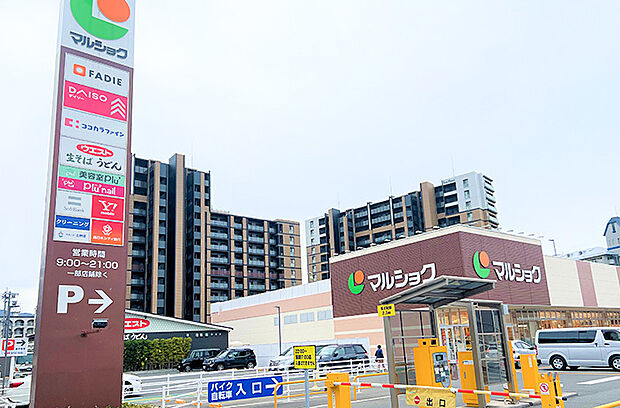 マルショク新守恒店(約1,000m)