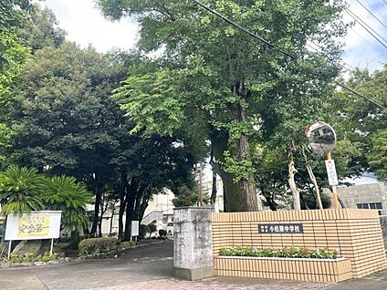 都城市立小松原中学校 520m(-)