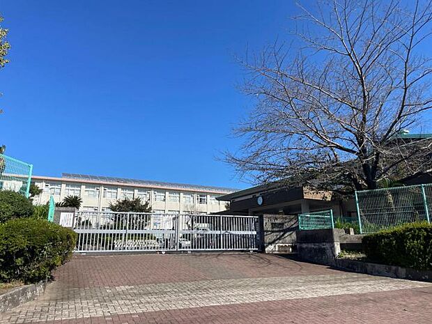 鹿児島市立吉野中学校(約1,600m)