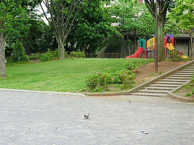 権太坂三丁目公園(約300m)