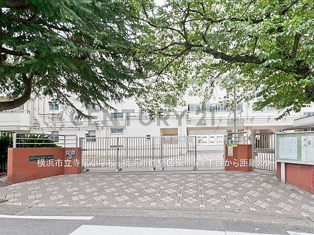 横浜市立寺尾小学校(約220m)