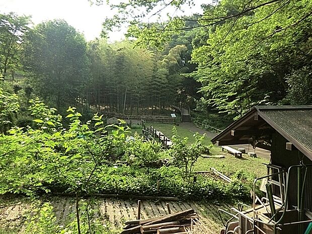 天王森泉公園(約82m・徒歩2分)