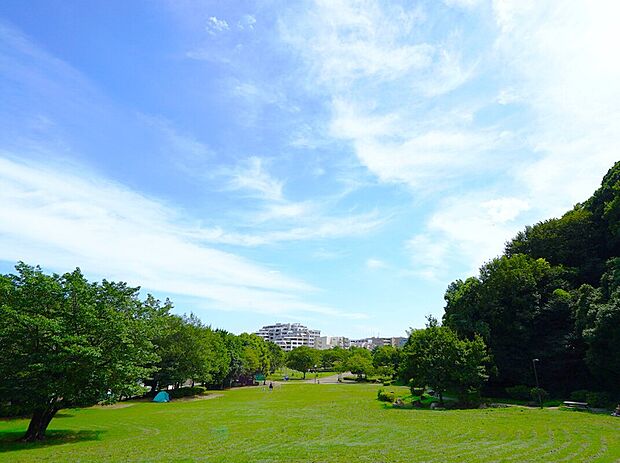 山田富士公園（約820m）