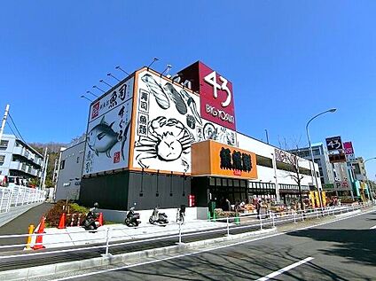 ビッグヨーサン横浜都筑店 1200ｍ(徒歩15分)