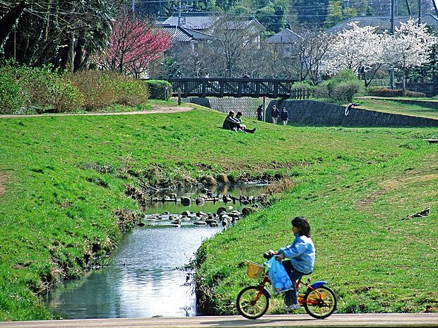 東山ふれあい樹林(約660m)