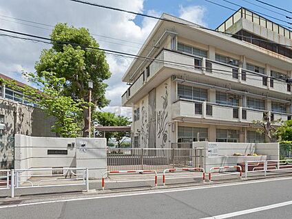 横浜市立緑小学校 550ｍ(徒歩7分)