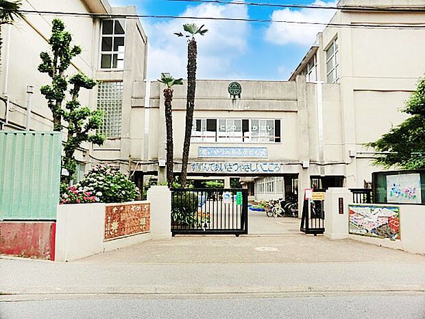 柏市立高柳小学校(約800m)