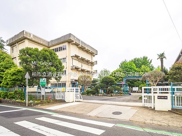 柏市立酒井根小学校(約550m・徒歩7分)