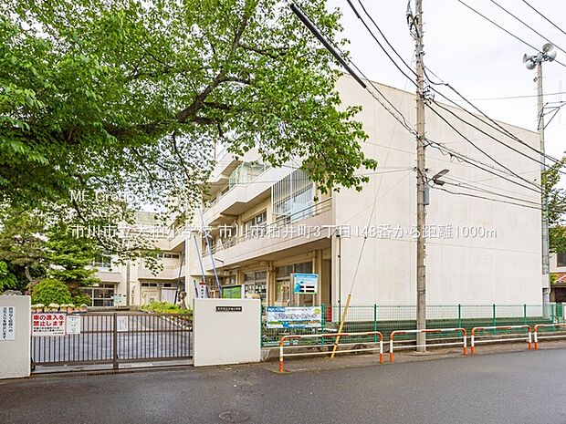 市川市立大柏小学校(約1,000m・徒歩13分)