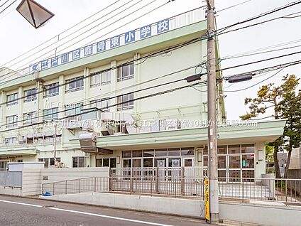 江戸川区立鹿骨東小学校 550m