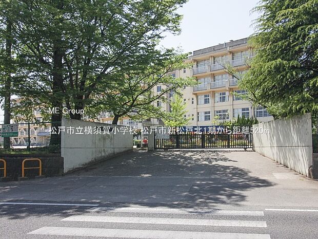 松戸市立横須賀小学校(約520m)