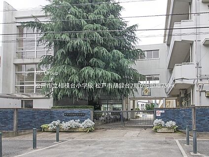 松戸市立相模台小学校 750m(10分)