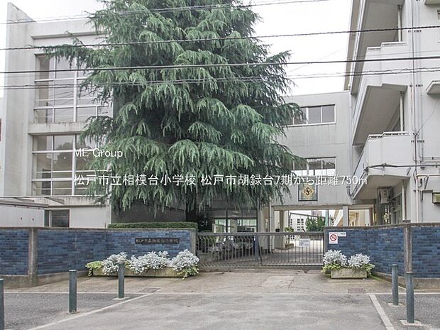 松戸市立相模台小学校(約750m・徒歩10分)