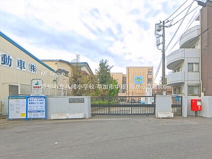 草加市立八幡小学校 800m