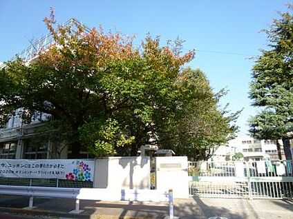 世田谷区立多聞小学校 450ｍ