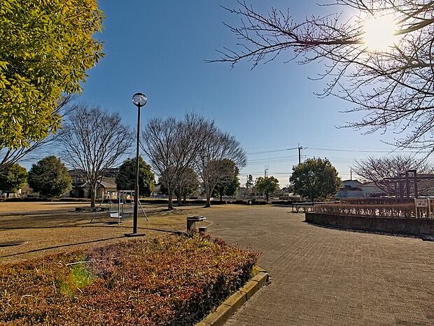 蓮沼公園