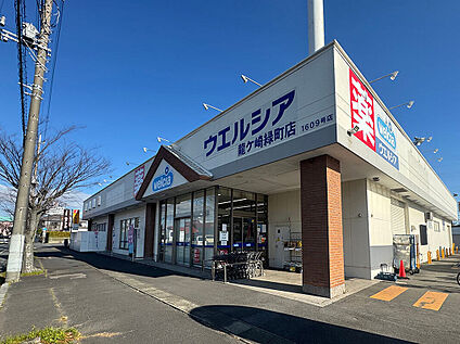 ウエルシア龍ヶ崎市緑町店 約400m(徒歩約5分)