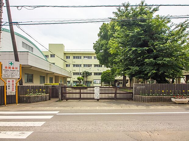 川越市立富士見中学校（約550m）