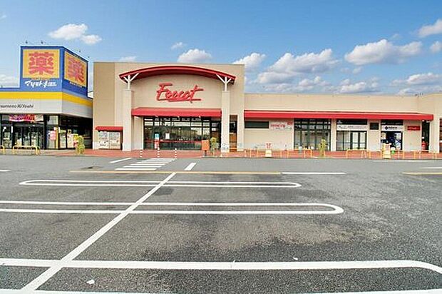 フーコット飯能店（約420m）