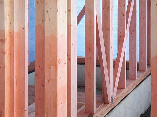 【【防蟻処理】】シロアリの侵入・被害を防ぐための処置。 予防駆除剤などを使用し、木造住宅へのシロアリ被害を防ぎます。