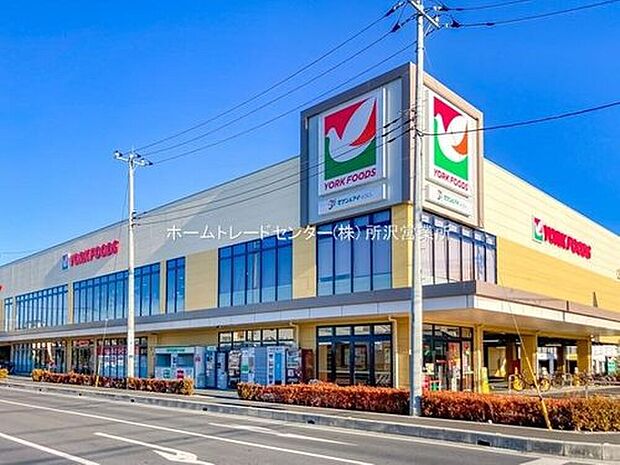 ヨークフーズ所沢花園店（約450m）