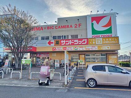 ヨークフーズ東村山店 1029ｍ(徒歩13分)