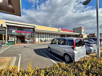 ヨークフーズ入間扇台店 496ｍ(徒歩7分)