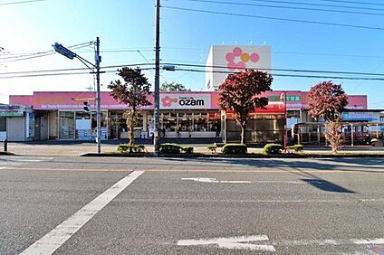 スーパーオザム東狭山ヶ丘店 448m(徒歩6分)