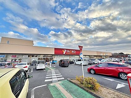 ヤオコー入間下藤沢店 581m(徒歩８分)