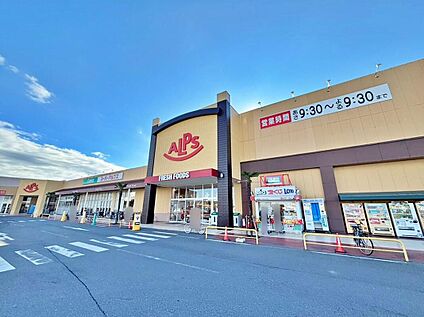 スーパーアルプス入間下藤沢店 631ｍ(徒歩8分)