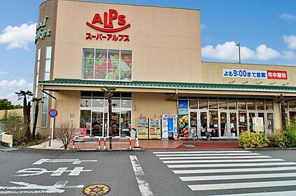 スーパーアルプス飯能美杉台店 1144ｍ(徒歩15分)